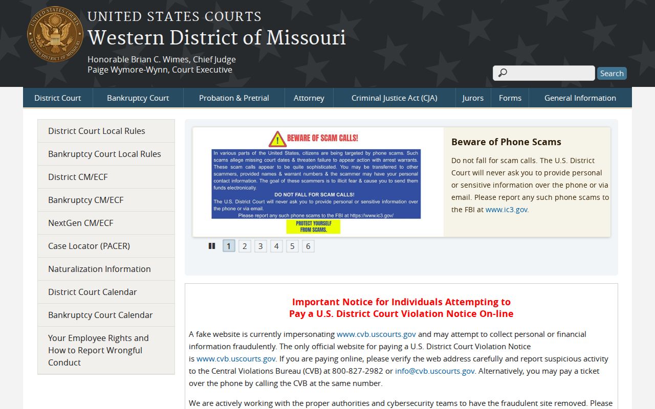 Missouri court system and Western District federal court